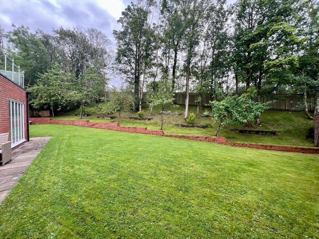 Rear Lawn
