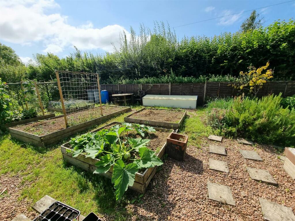 Veg patch.jpg