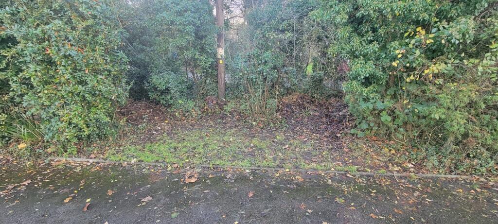 IMG 2276 T202411251523.jpg