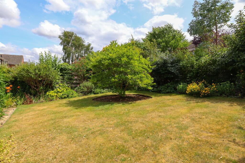 Garden (3).jpg