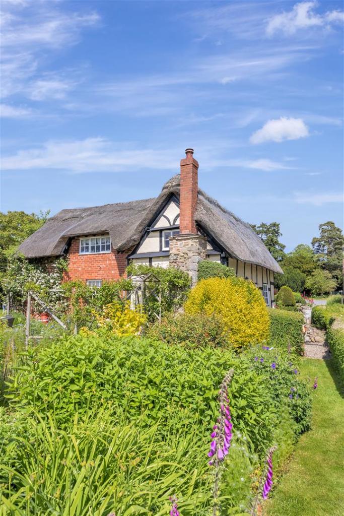 DSC06488.jpg
