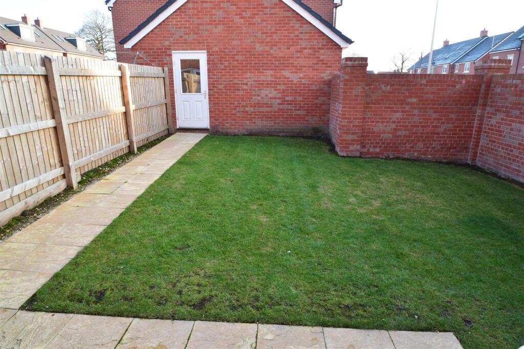 23 Hornbeam 1.JPG