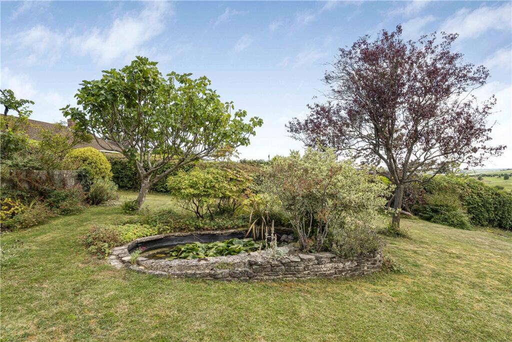 Pond