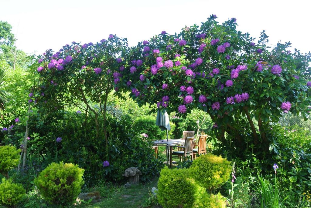 Rhody Seating area.JPG