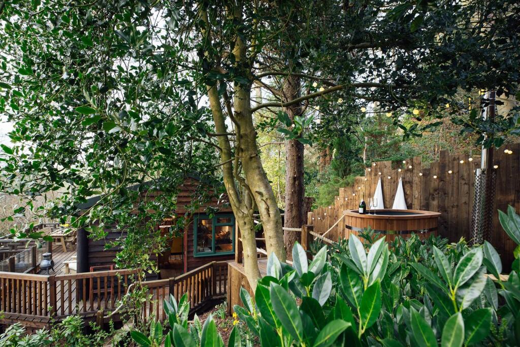 Beds in Branches - Owen Howells Photography-026.jp