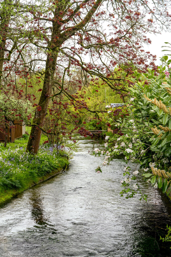 282776 - a0OP6000007M6nVMAS_N73.jpg