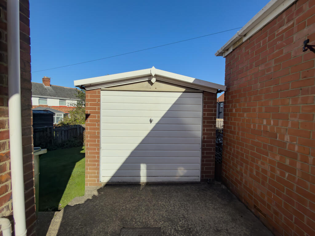 IMG 5131 T202509282048.jpg