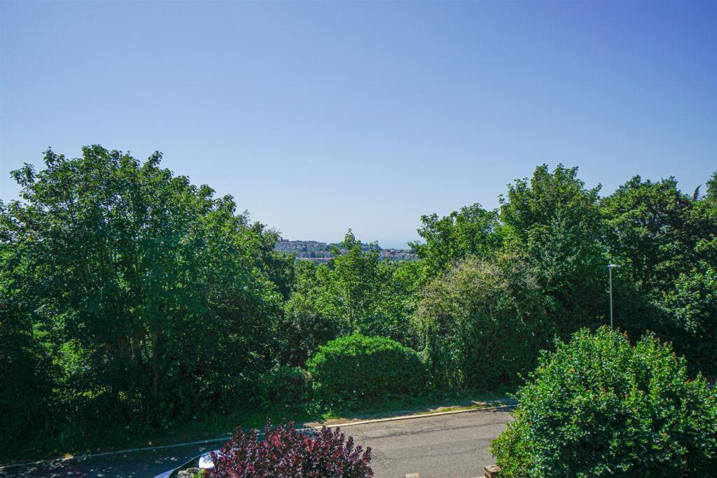 DSC03932_Alto.jpg