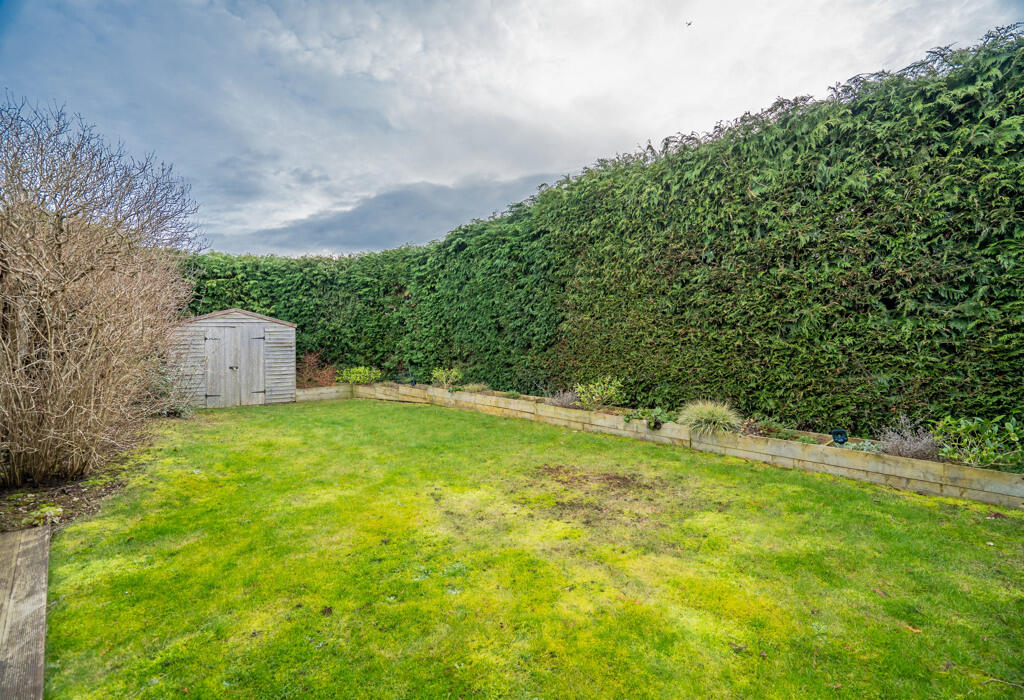 Side Garden