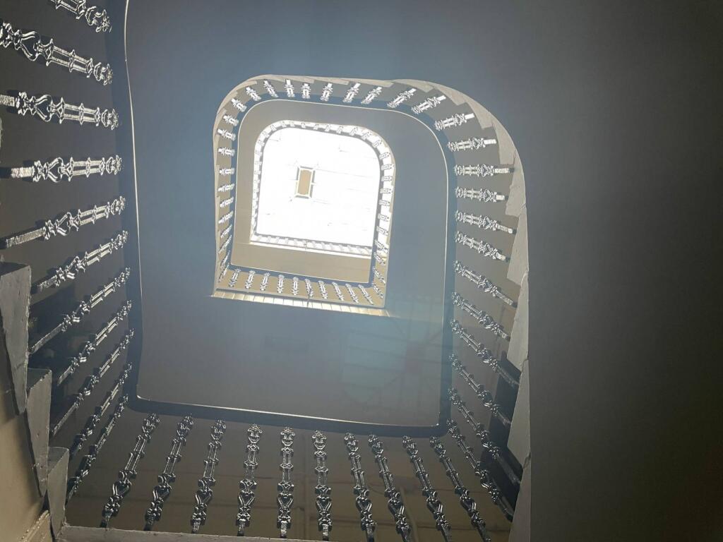 MFL3240899_727.jpg