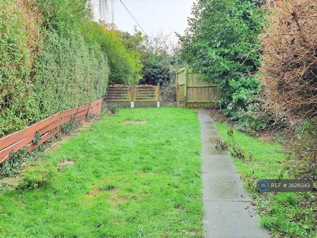 Back Garden