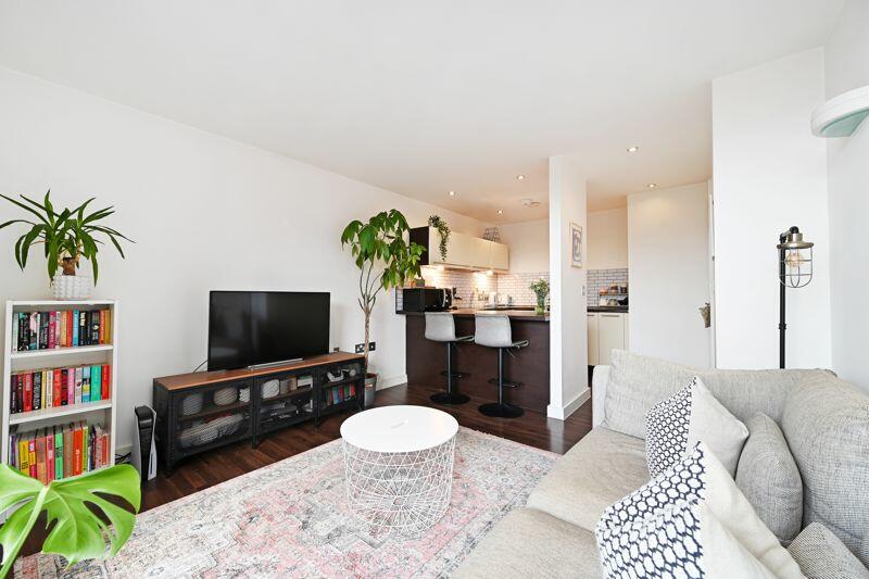 Living Area / Kitchen 