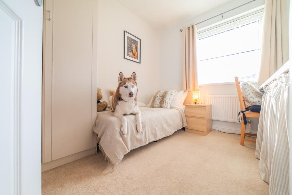 Award-winning Media team on EVERY Listing_33