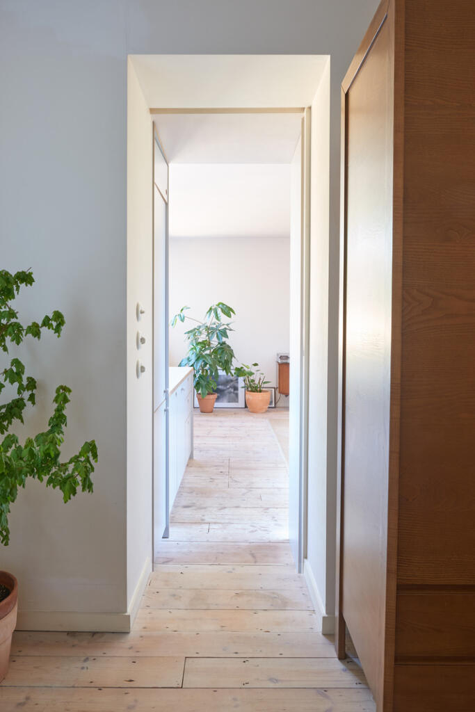 276140 - inigo_21_wisteria_06_04_25_10273.jpg