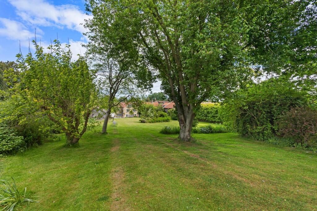 The White House-31.jpg