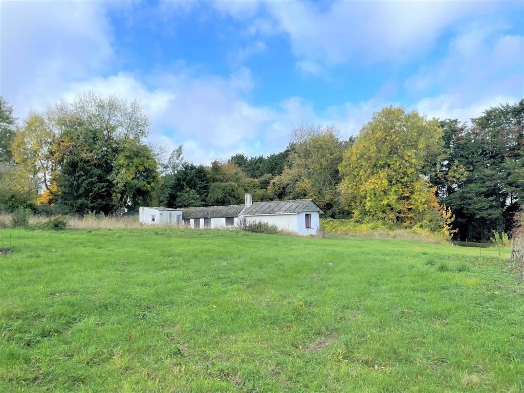 Buildings and Land - Brighter.jpg