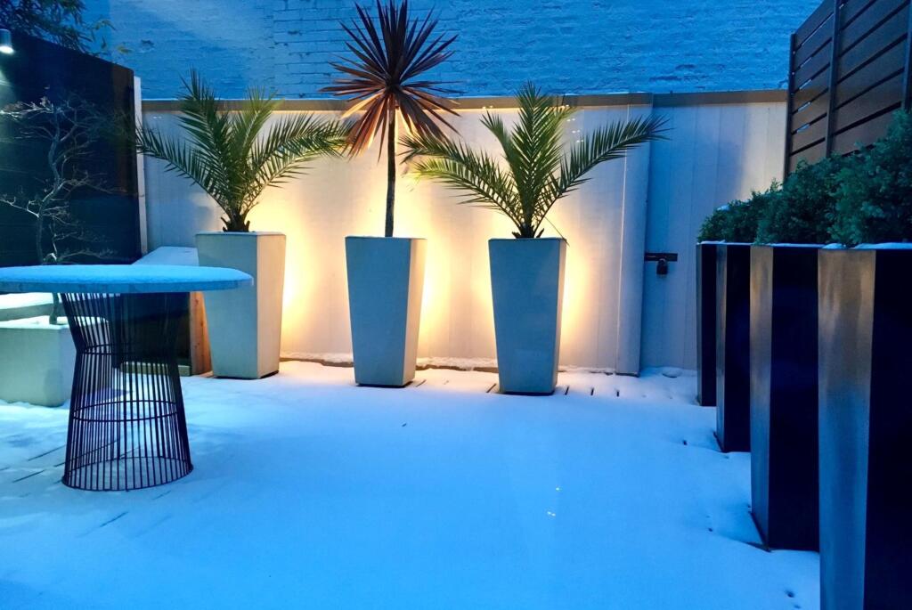 Garden Night