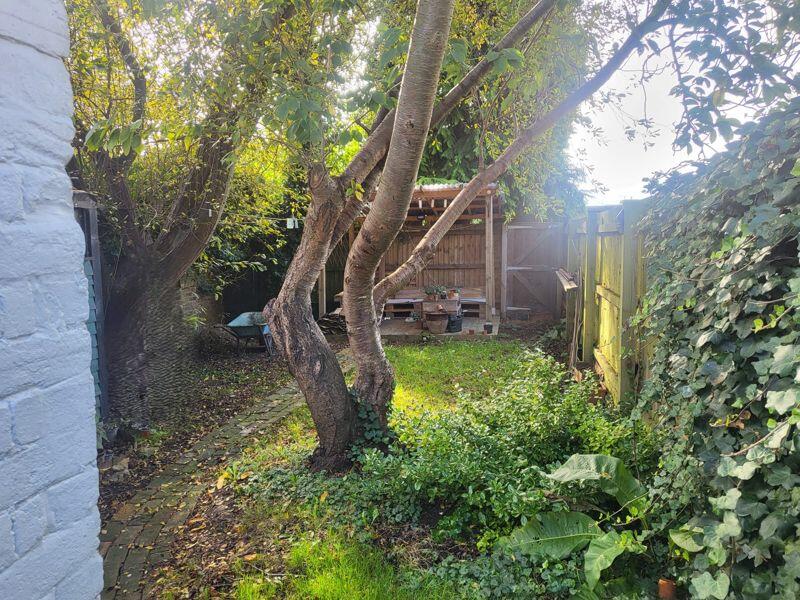 Photo 21