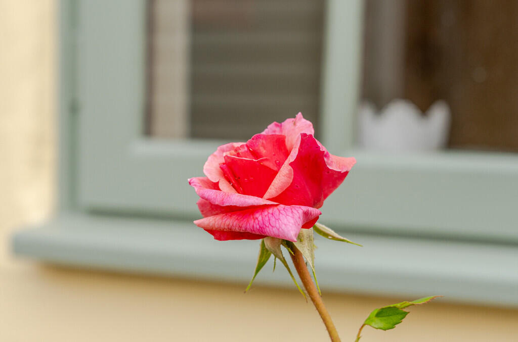 1300251-20-683866...