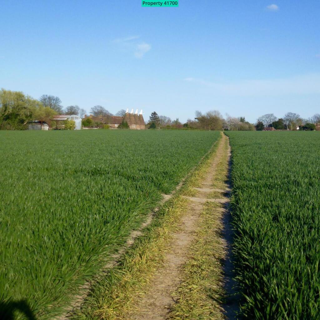 Countryside walks from the back gate