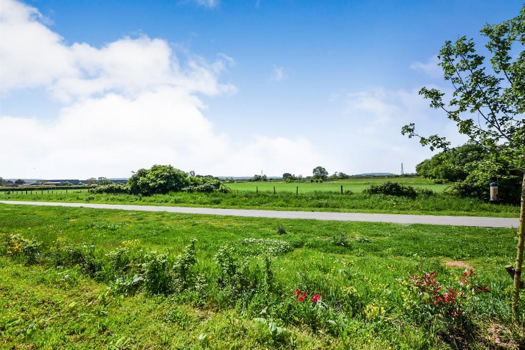 Rural views