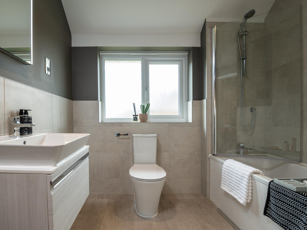The Shrewsbury 3 - Bathroom