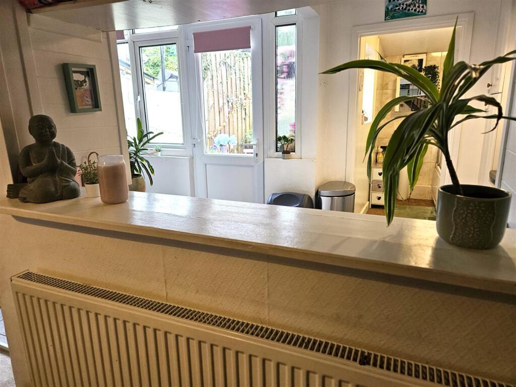 Looking into Kit.jpg