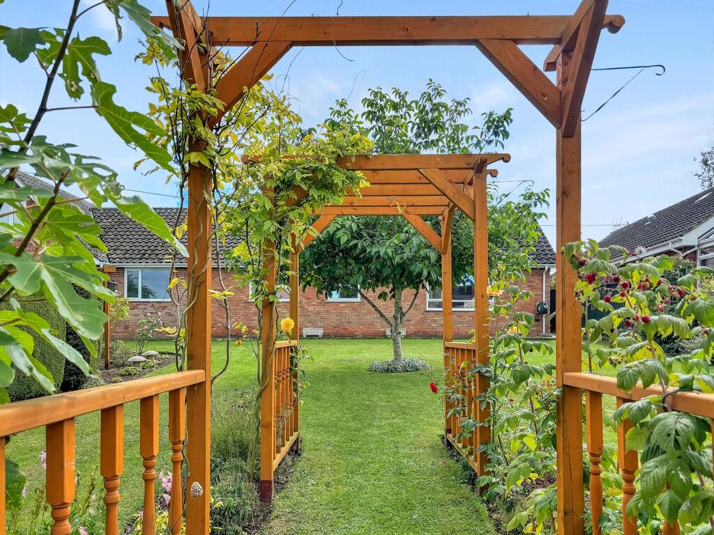 Rear garden 5