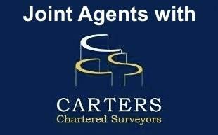 Joint Agents