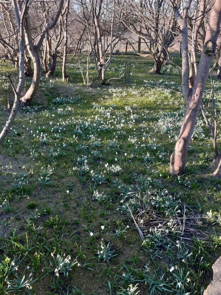 20250305_165104 - Copy.jpg