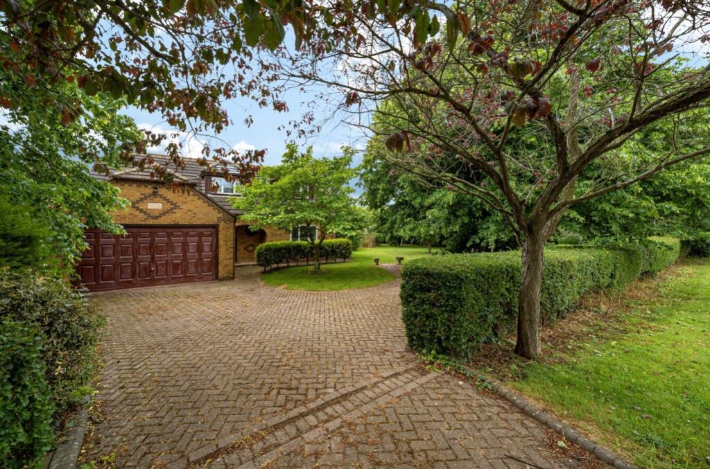 1299933-24-683a3f1e91638-ARW