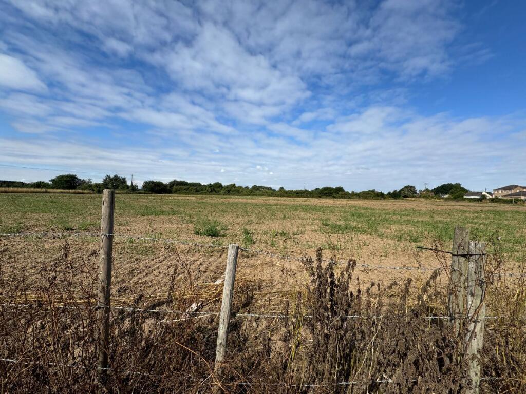 Open Field Views 