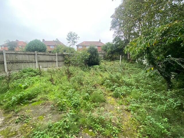 GARDEN T202510231607.jpg