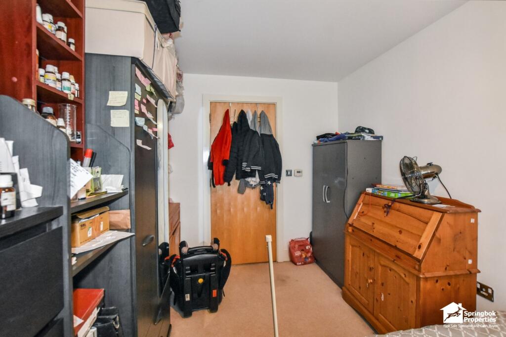 IMAGE 11