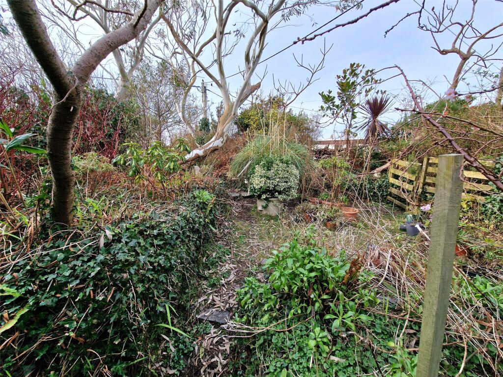 Communal Garden