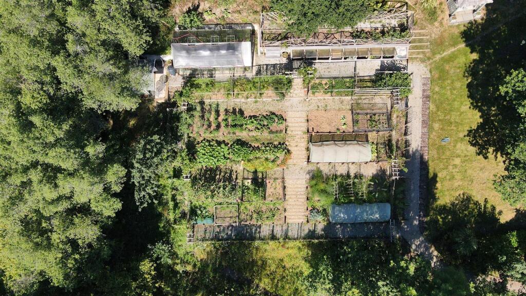 Aerial Garden.jpg