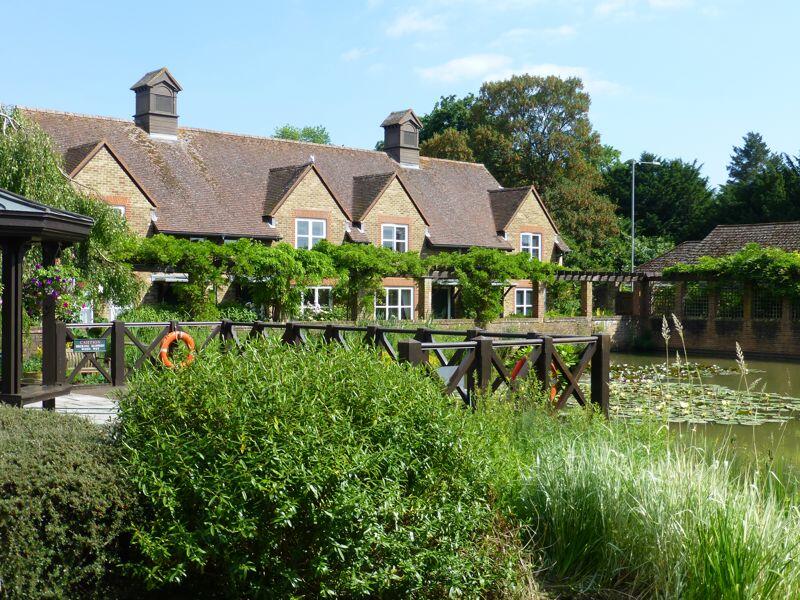 Bluecoat Pond