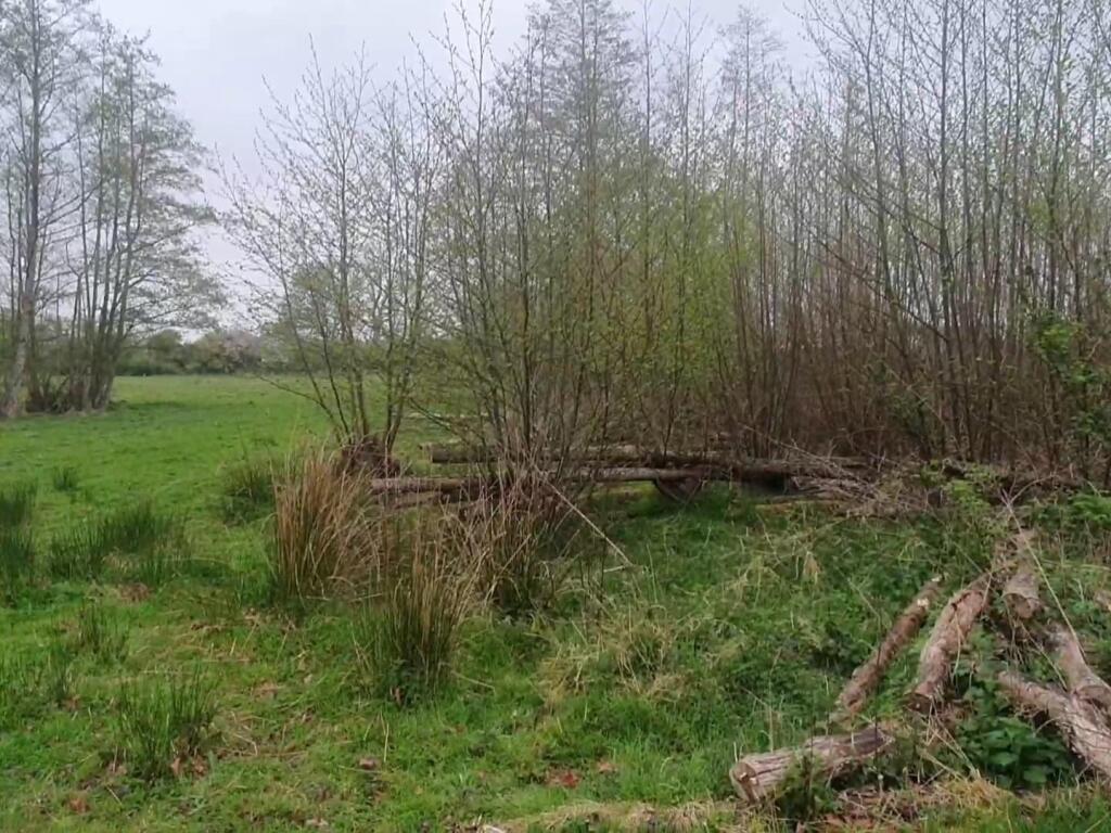 WhatsApp Image 2025-05-05 at 18.31.36 (6).jpeg