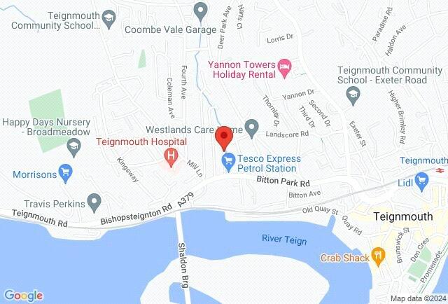 Google Maps Image