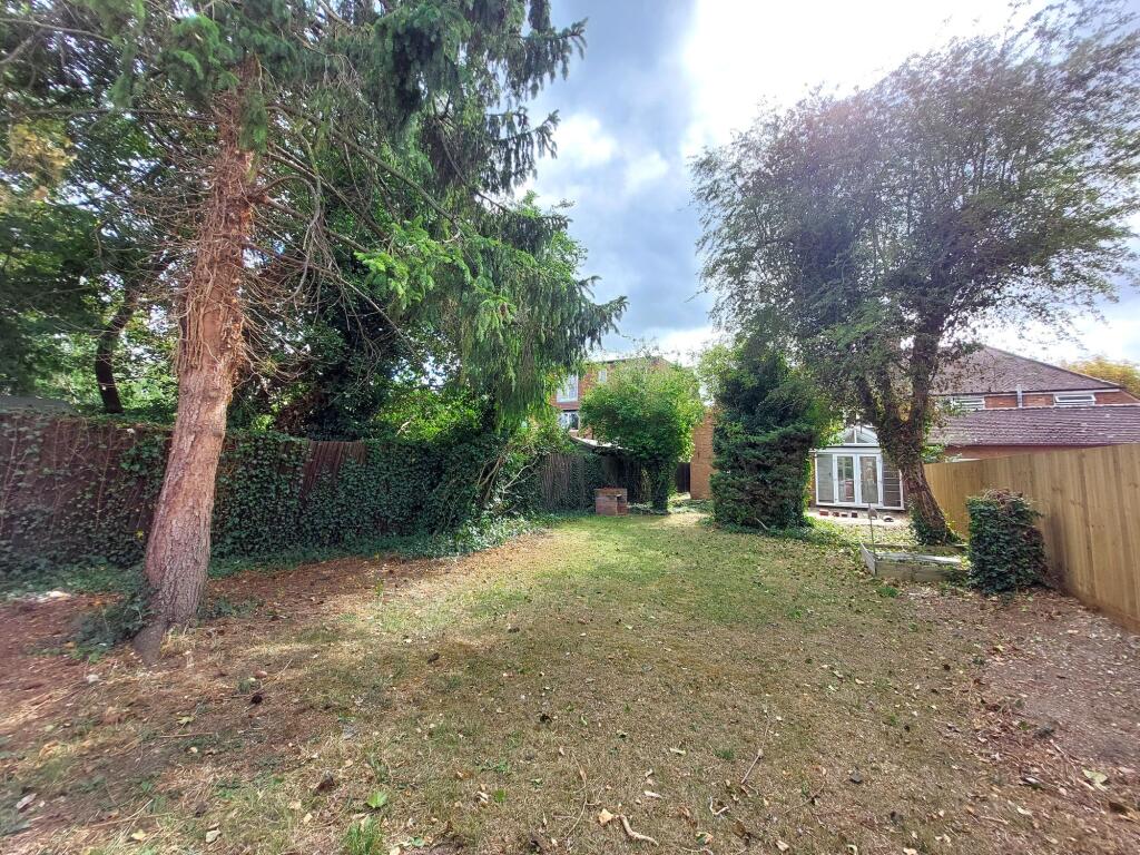 Back Garden