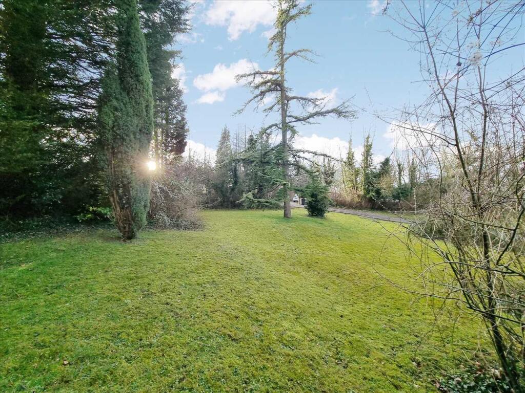 Garden continued