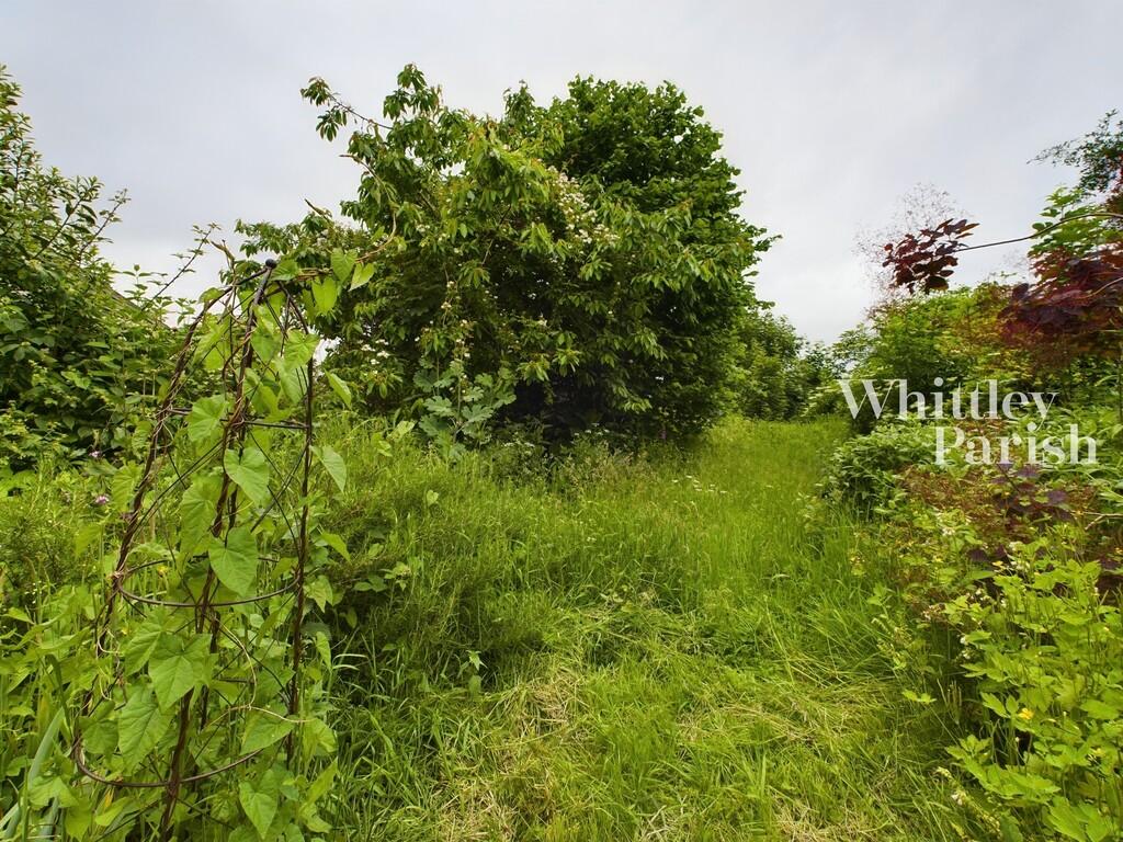 CAM01915G0-PR0384...