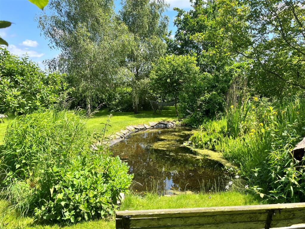 Pond 1.jpg
