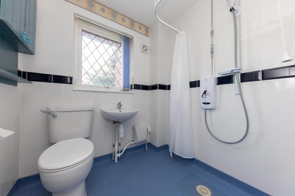 30 Sanderling (3 of 15).jpg