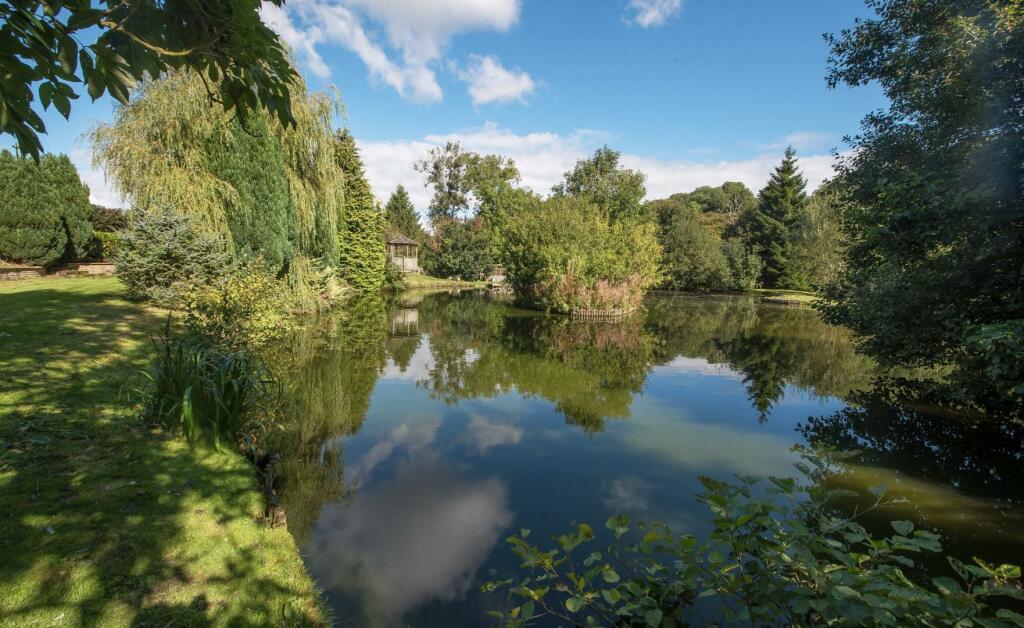 POND