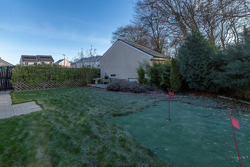 Back Garden