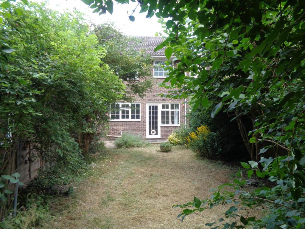 Malvern Road Garden 