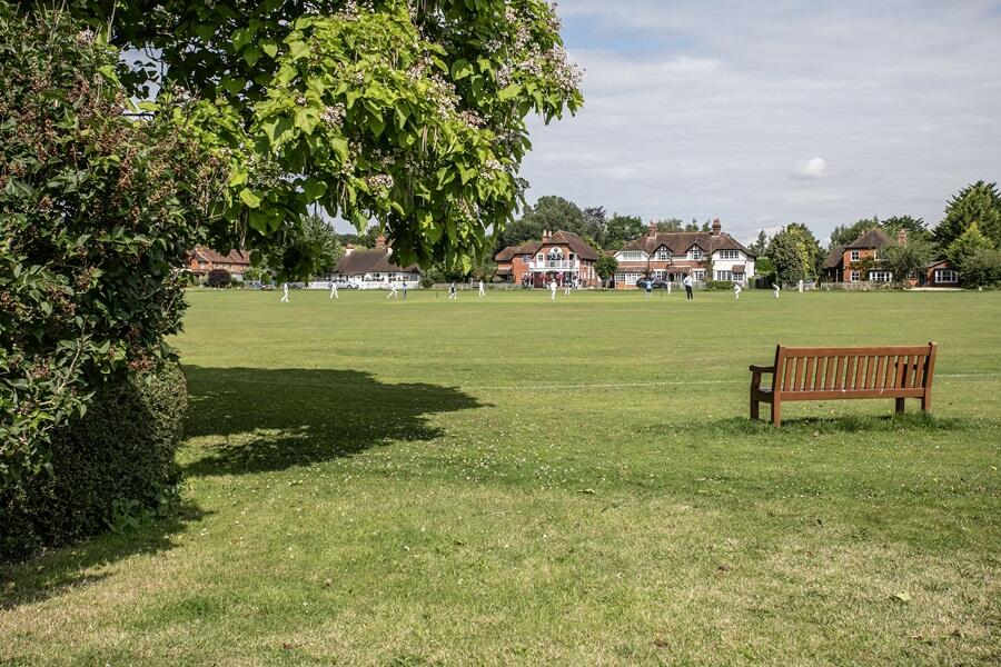 Cricket pitch
