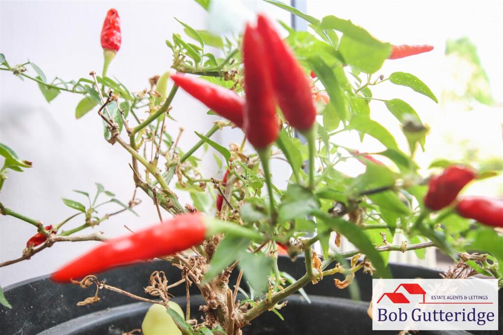 tlc_0d31ae58-4482-4427-b881-ce7e50a710e9_1a36546.j