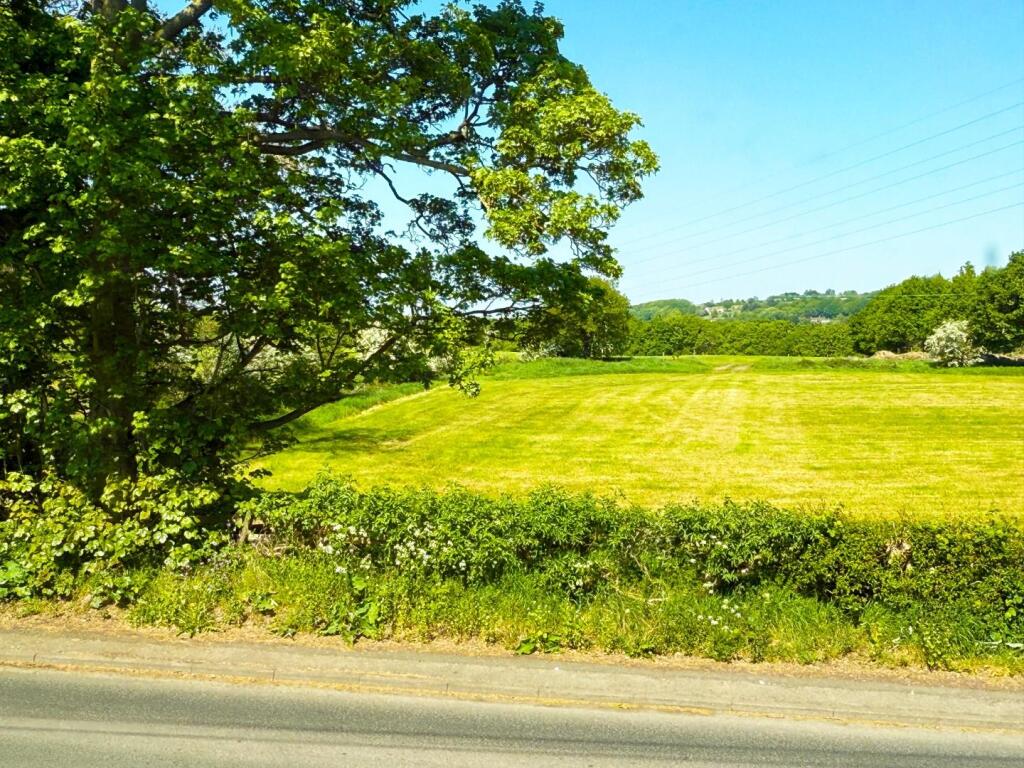 FIELD VIEWS
